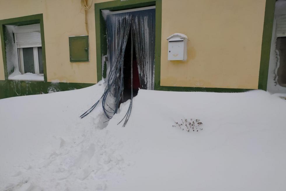 Nevada en Used (Zaragoza)