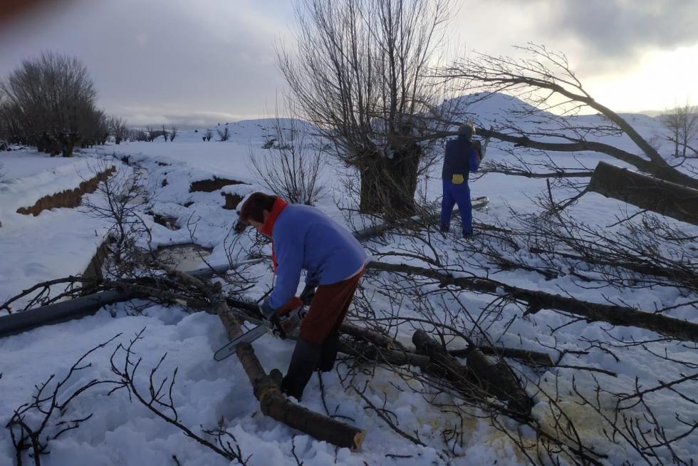 Los vecinos de Fuenferrada han tenido que cortar y retirar un árbol caído sobre la carretera para que pudiera llegar la máquina quitanieves