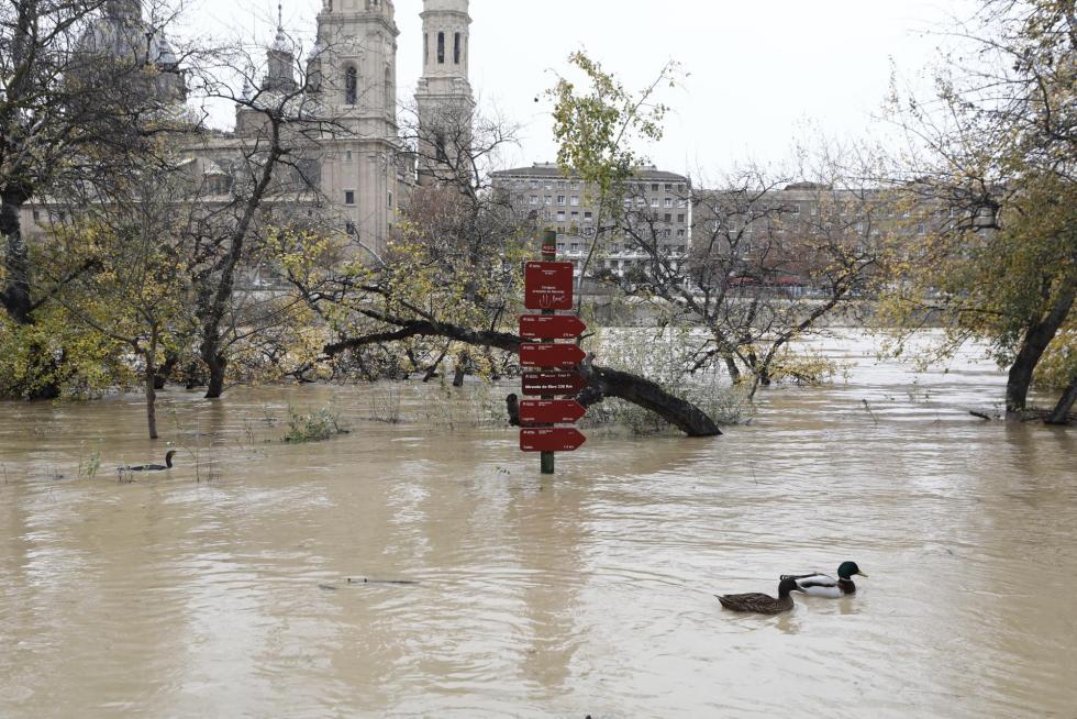 La punta de la crecida del Ebro llega a Zaragoza