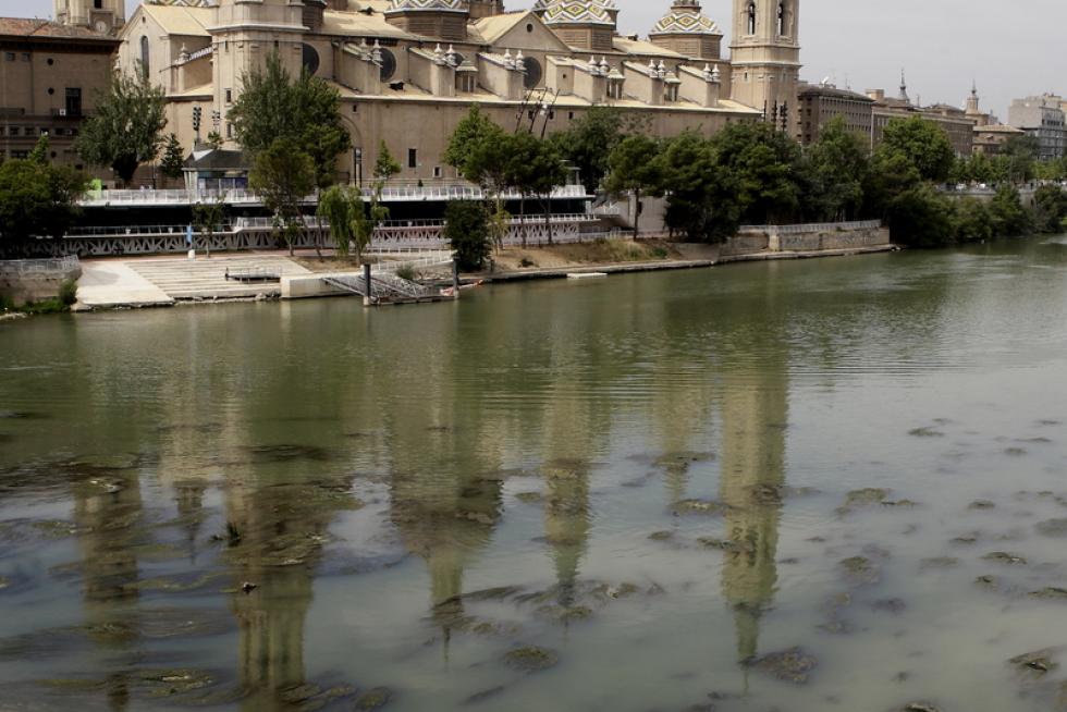 Las algas se dejan ver en el Ebro