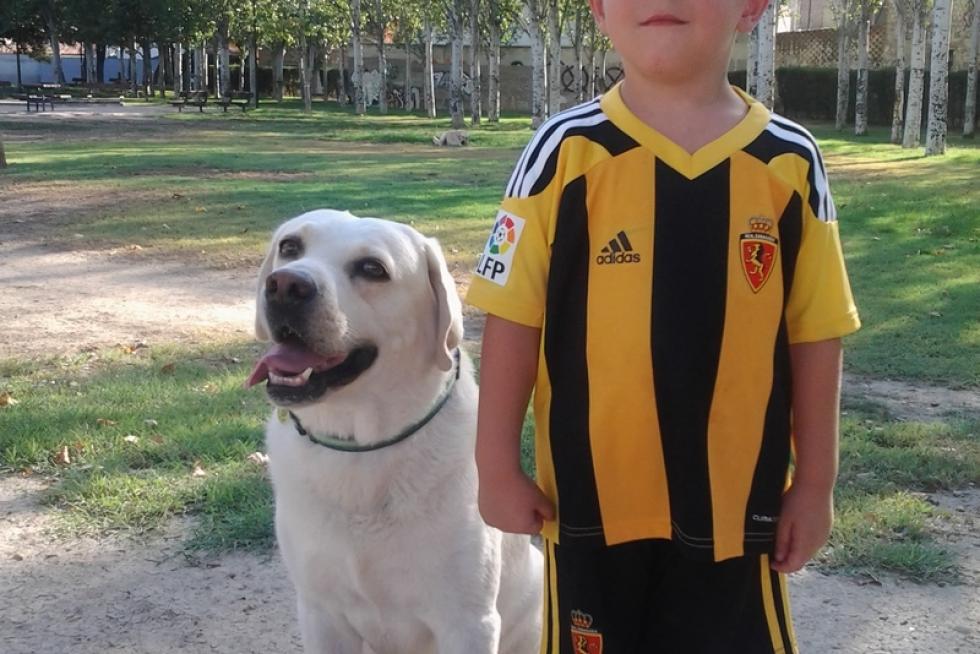 El álbum de las mascotas