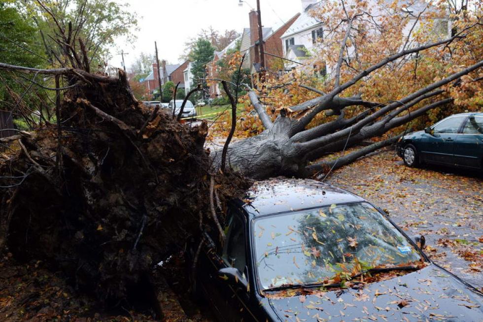 'Sandy' deja al menos 13 muertos, inundaciones récord y apagones en EE. UU.