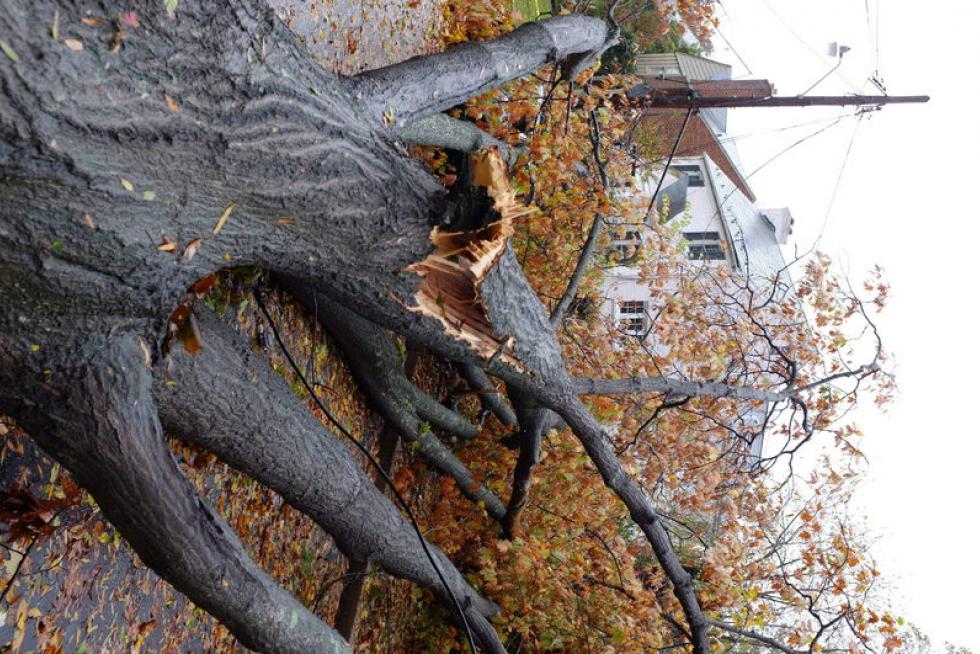 'Sandy' deja al menos 13 muertos, inundaciones récord y apagones en EE. UU.