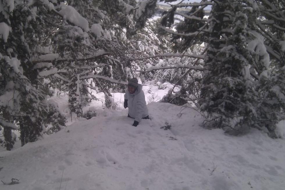 Nieve en Griegos, Teruel