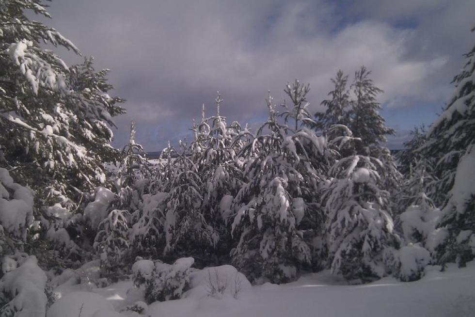 Nieve en Griegos, Teruel
