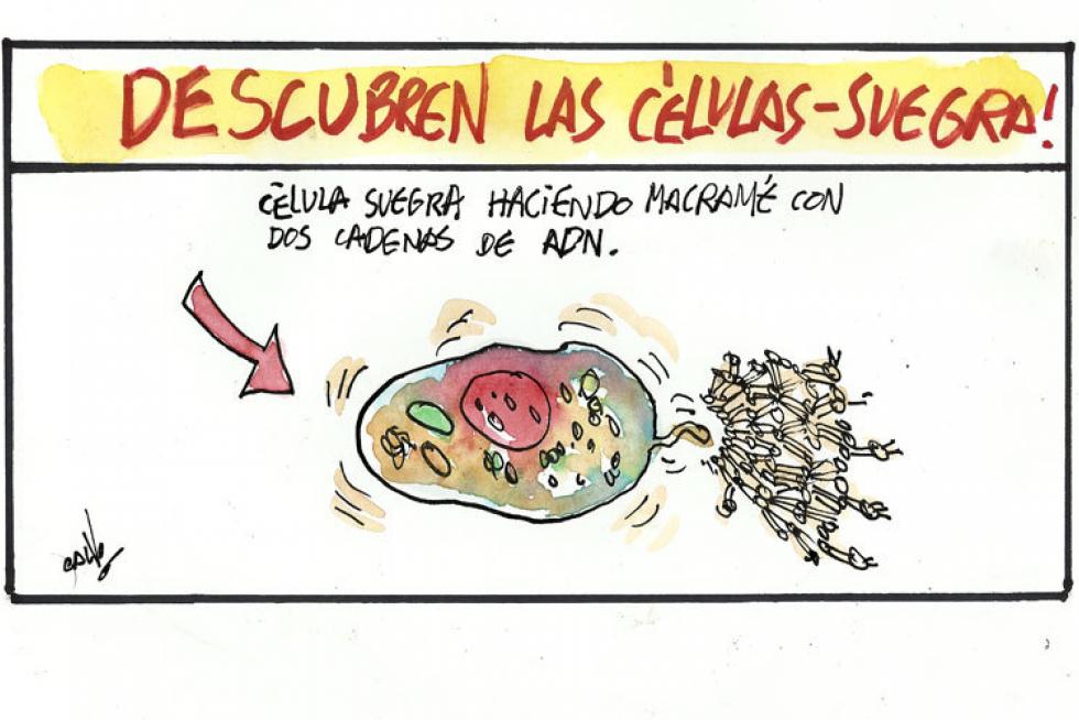 Algunas de las mejores viñetas de Alberto Calvo