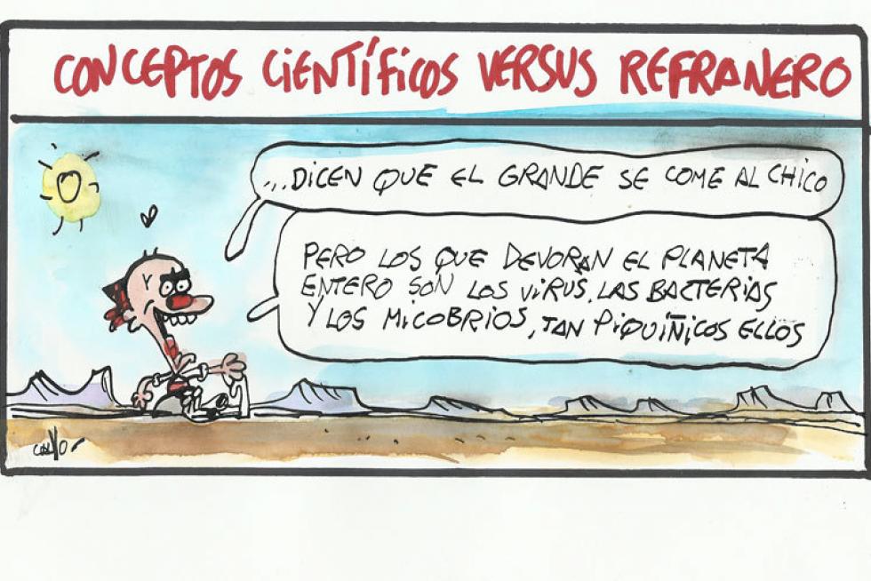 Algunas de las mejores viñetas de Alberto Calvo