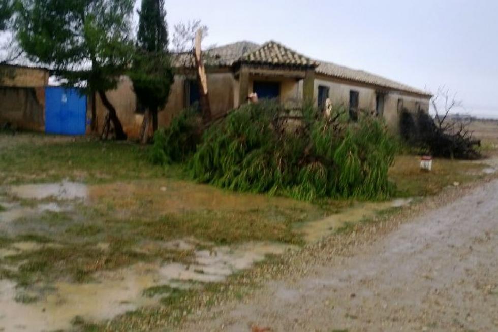 El temporal, en Biota