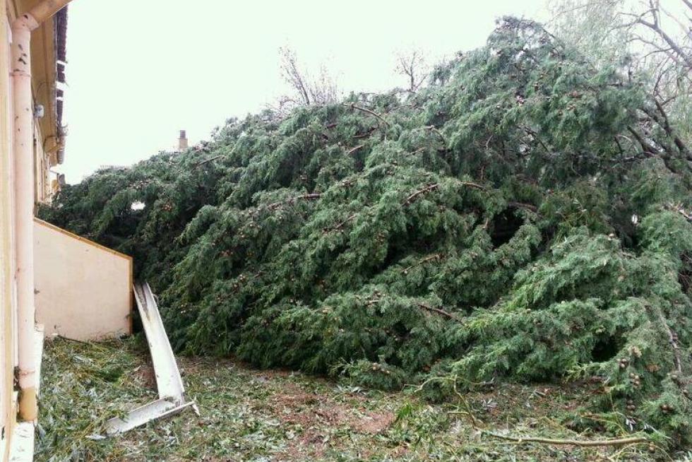 Destrozos en Pinsoro