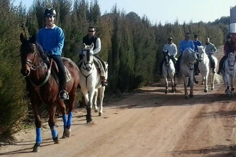 Centro hípico Cabezos del Prado en Quinto de Ebro. Salva Gabasa.