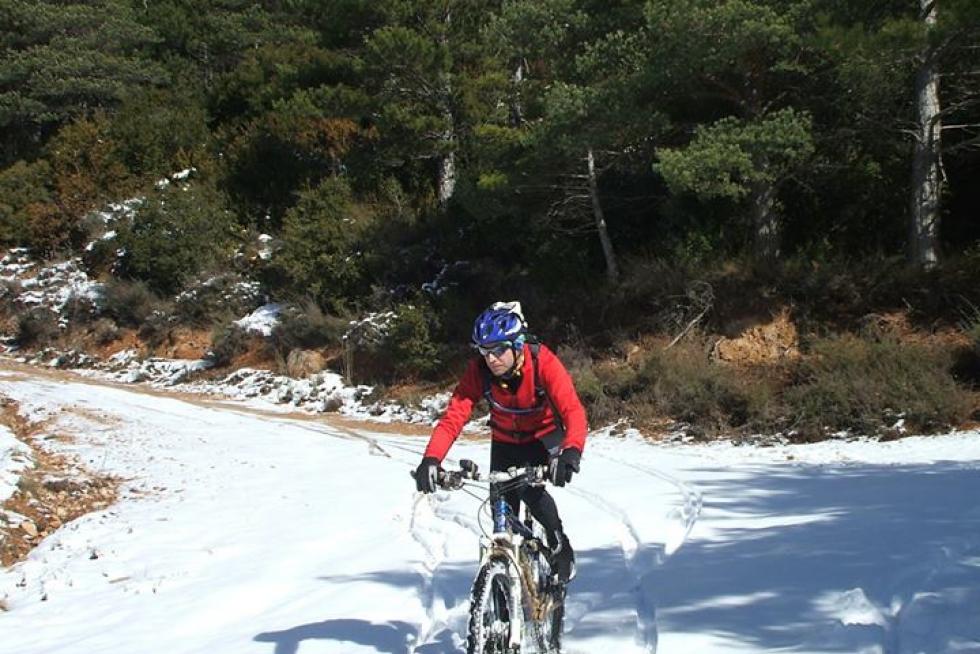¿Practicas algún deporte? (II)