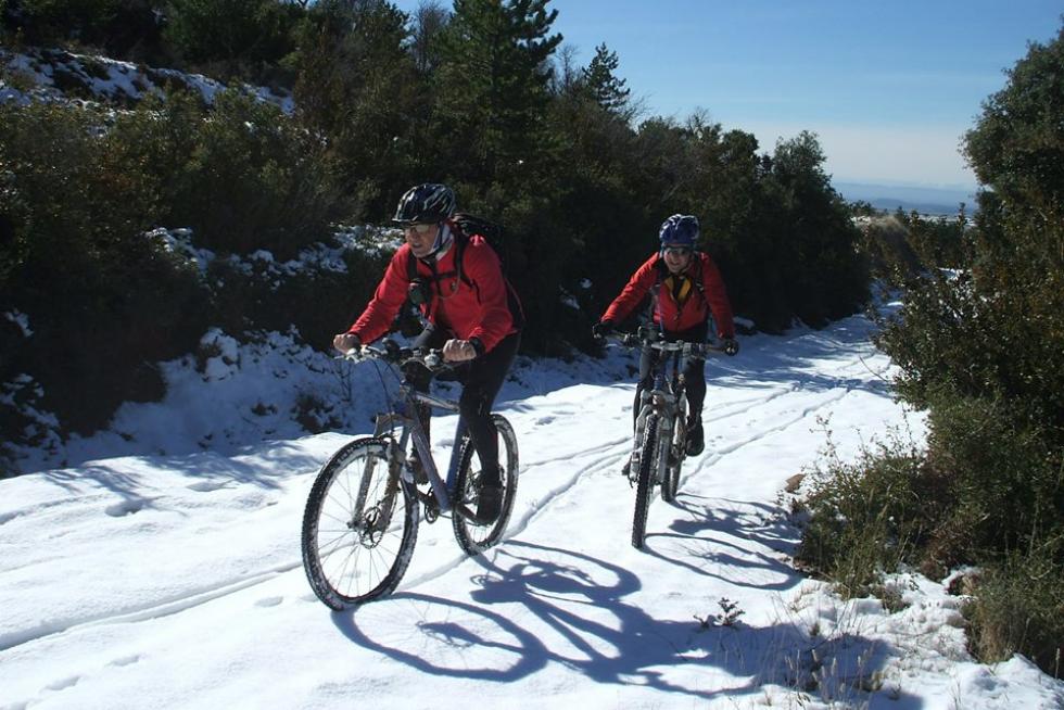 ¿Practicas algún deporte? (II)