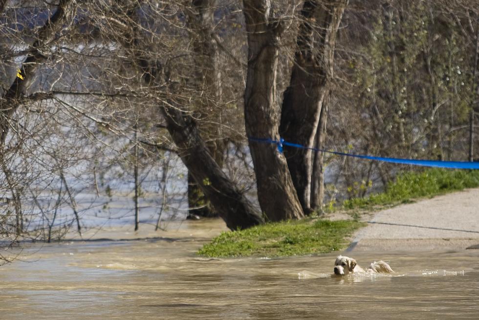 Crecida del Ebro