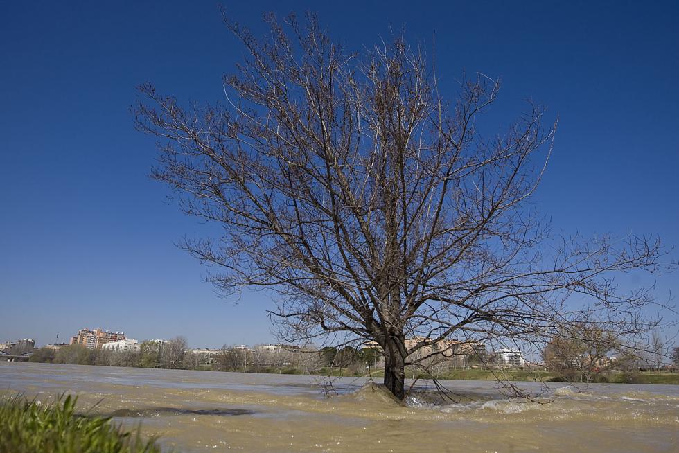 Crecida del Ebro