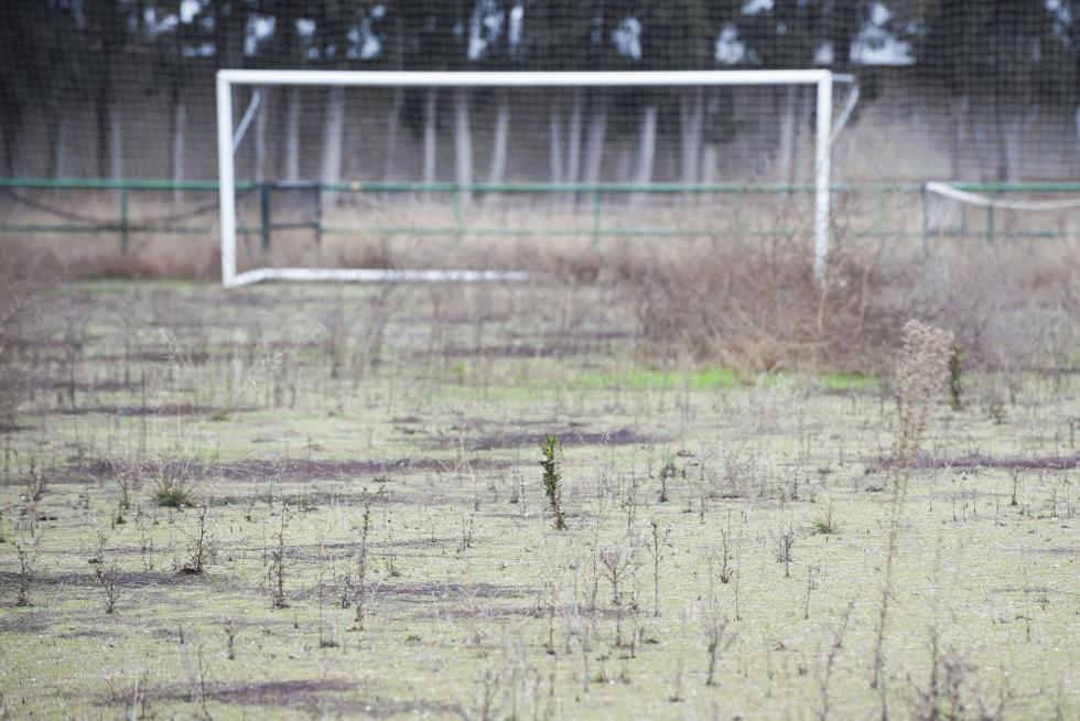 Abandono y vandalismo en el Parque Deportivo Ebro