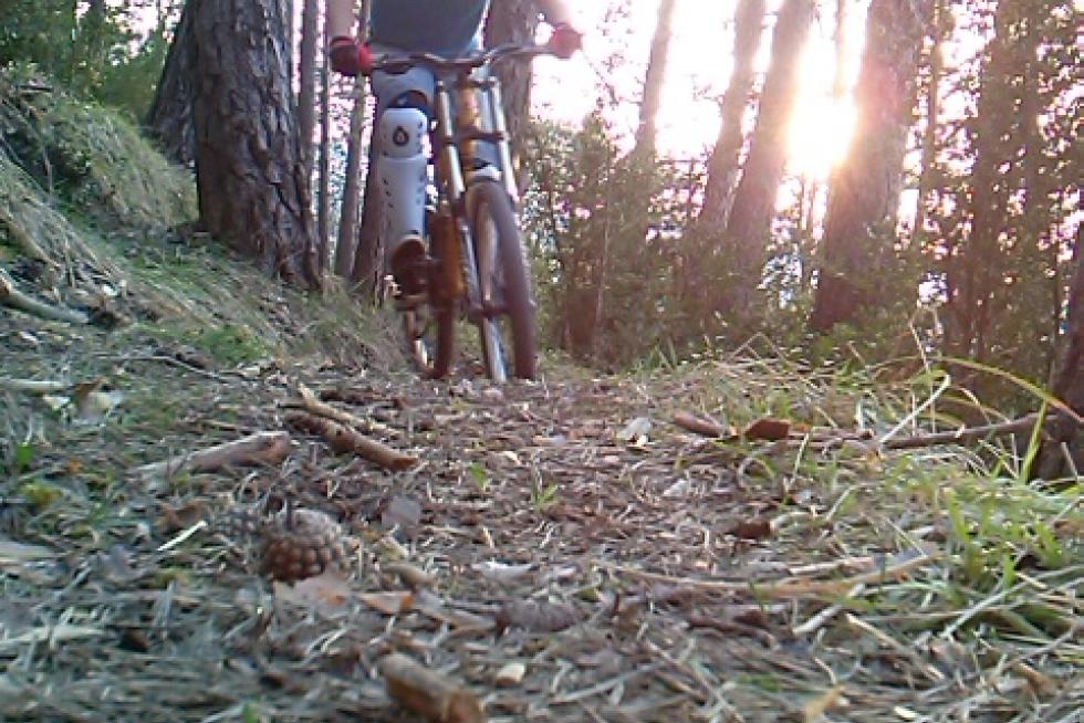 ¿Practicas algún deporte? (II)