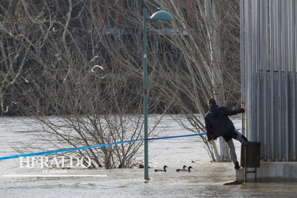 Crecida del río Ebro a principios de febrero. A pesar de las advertencias, hay quien cometió imprudencias a orillas del Ebro.
