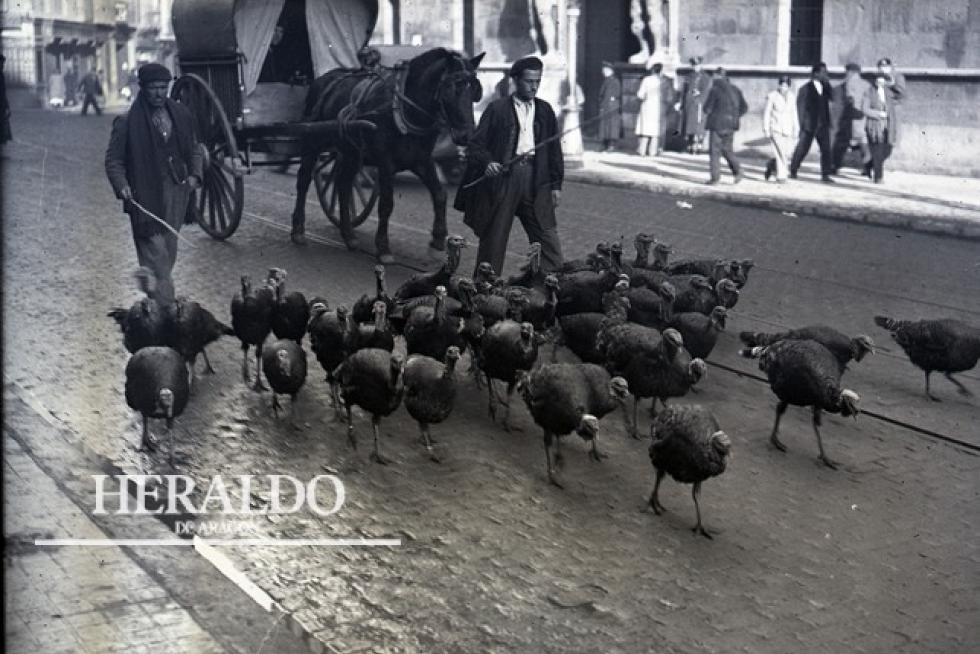 Vendedores de pavos para Navidad pasando por el coso de Zaragoza, frente a la Audiencia Provincial, en los años 30. El Coso era camino obligado para los paveros cuando se acercaba la Navidad.