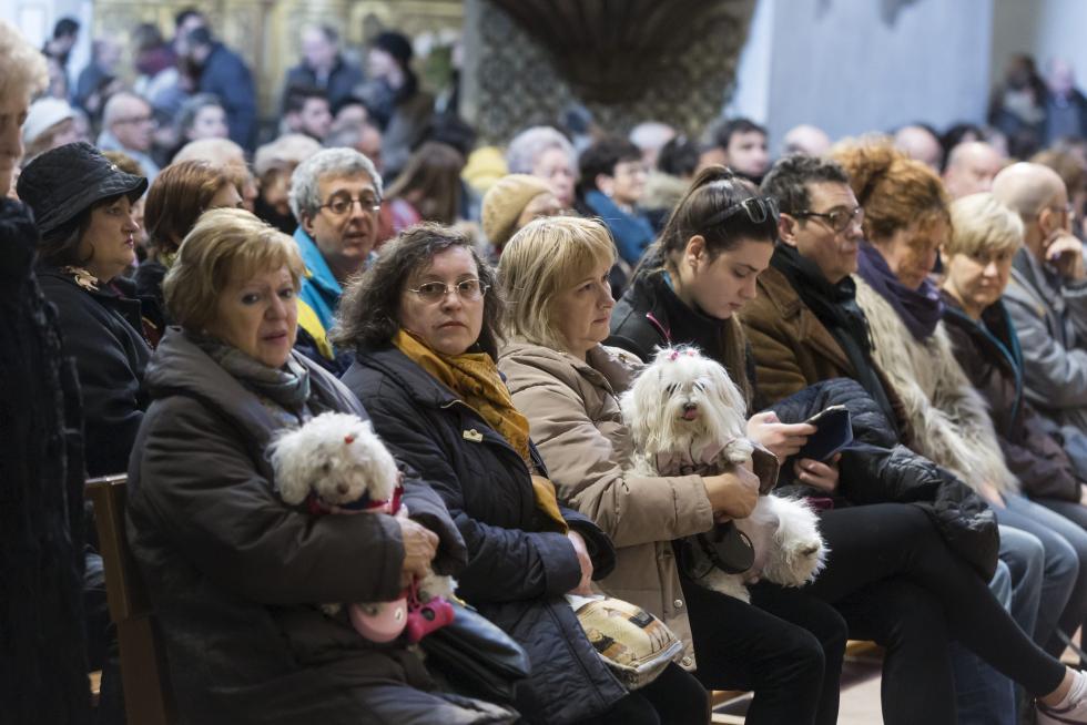 Bendición de Animales en San Pablo por San Antón