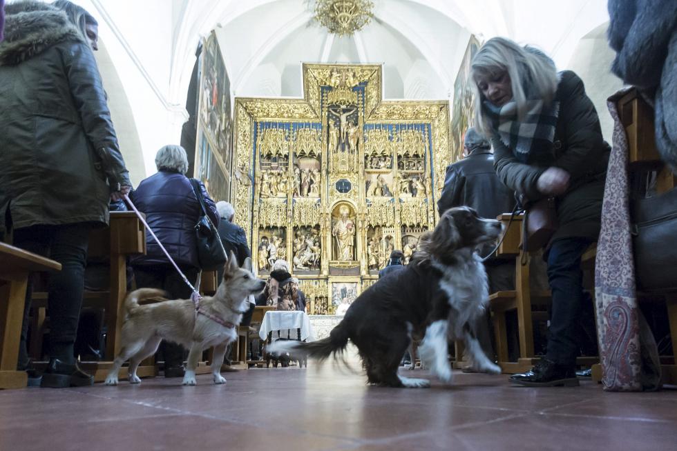 Bendición de Animales en San Pablo por San Antón