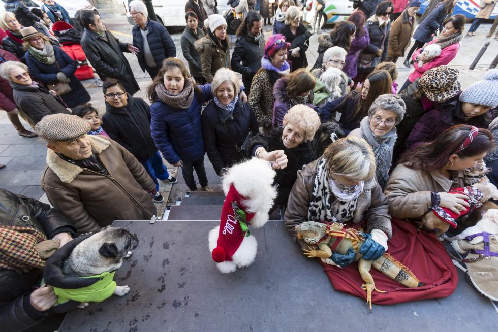 Bendición de Animales en San Pablo por San Antón