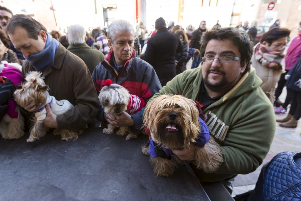Bendición de Animales en San Pablo por San Antón