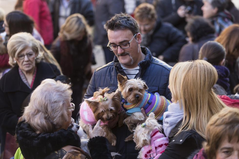 Bendición de Animales en San Pablo por San Antón