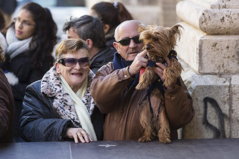 Bendición de Animales en San Pablo por San Antón