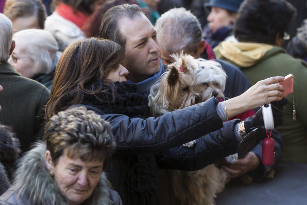 Bendición de Animales en San Pablo por San Antón