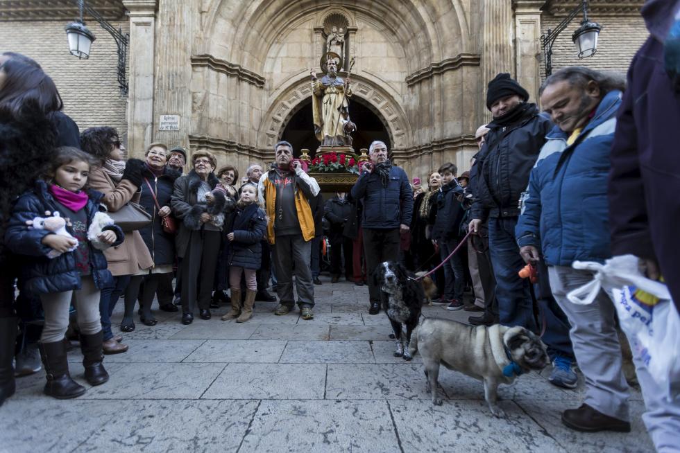 Bendición de Animales en San Pablo por San Antón