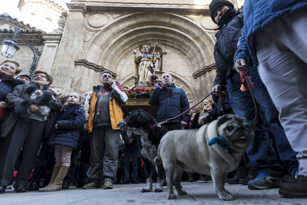 Bendición de Animales en San Pablo por San Antón