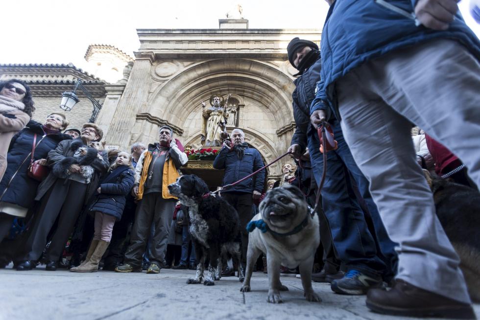 Bendición de Animales en San Pablo por San Antón
