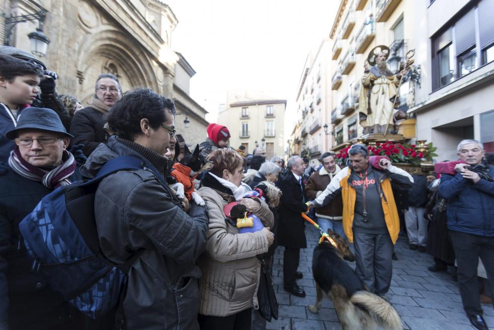 Bendición de Animales en San Pablo por San Antón