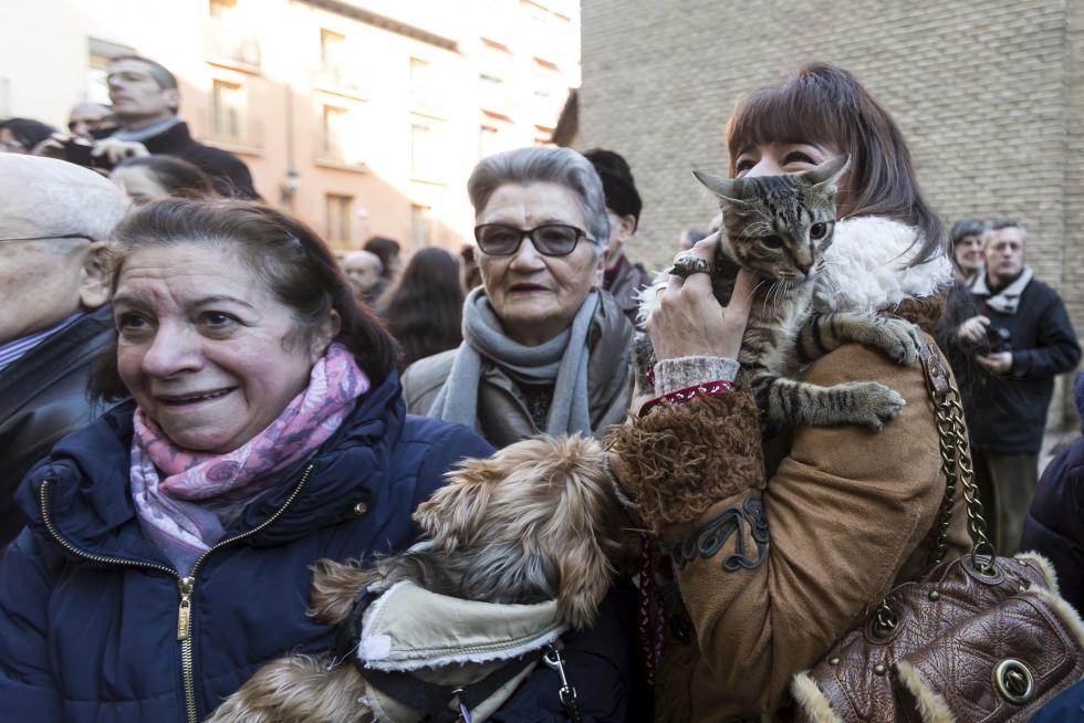 Bendición de Animales en San Pablo por San Antón