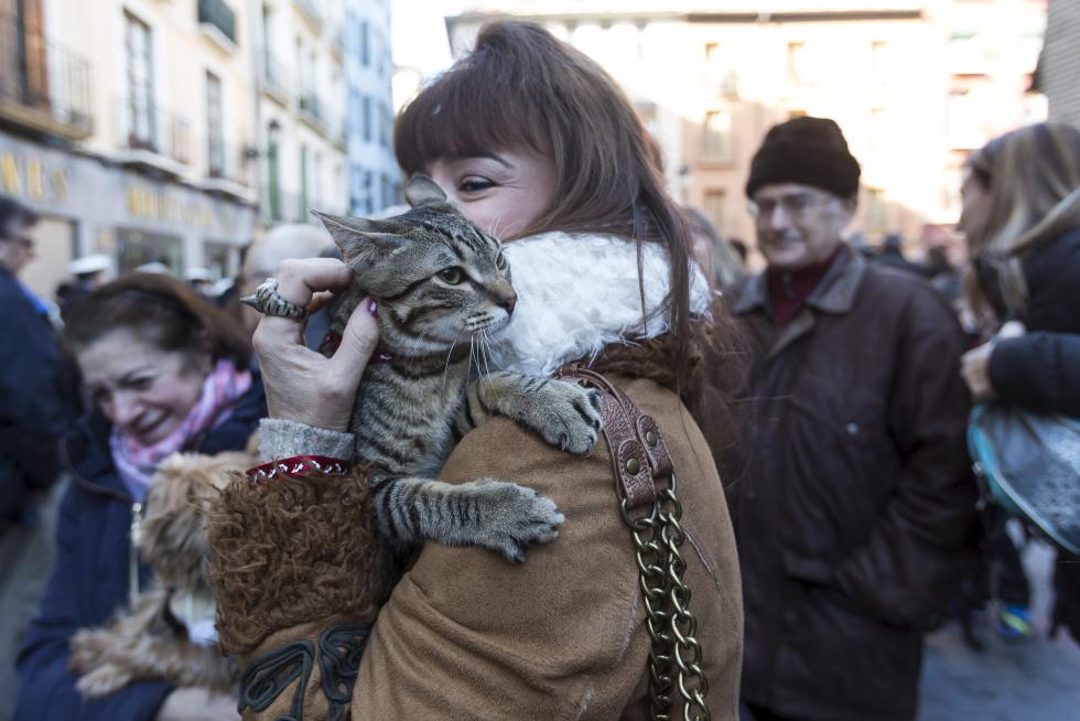 Bendición de Animales en San Pablo por San Antón
