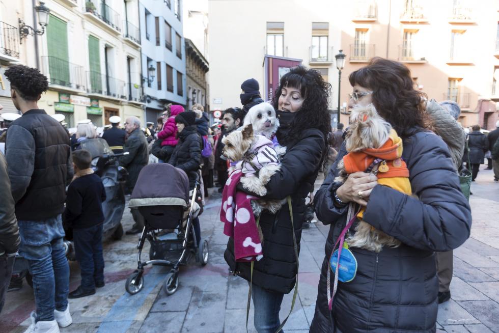 Bendición de Animales en San Pablo por San Antón
