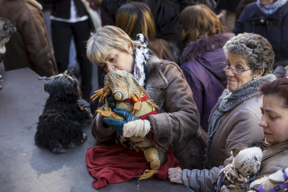 Bendición de Animales en San Pablo por San Antón