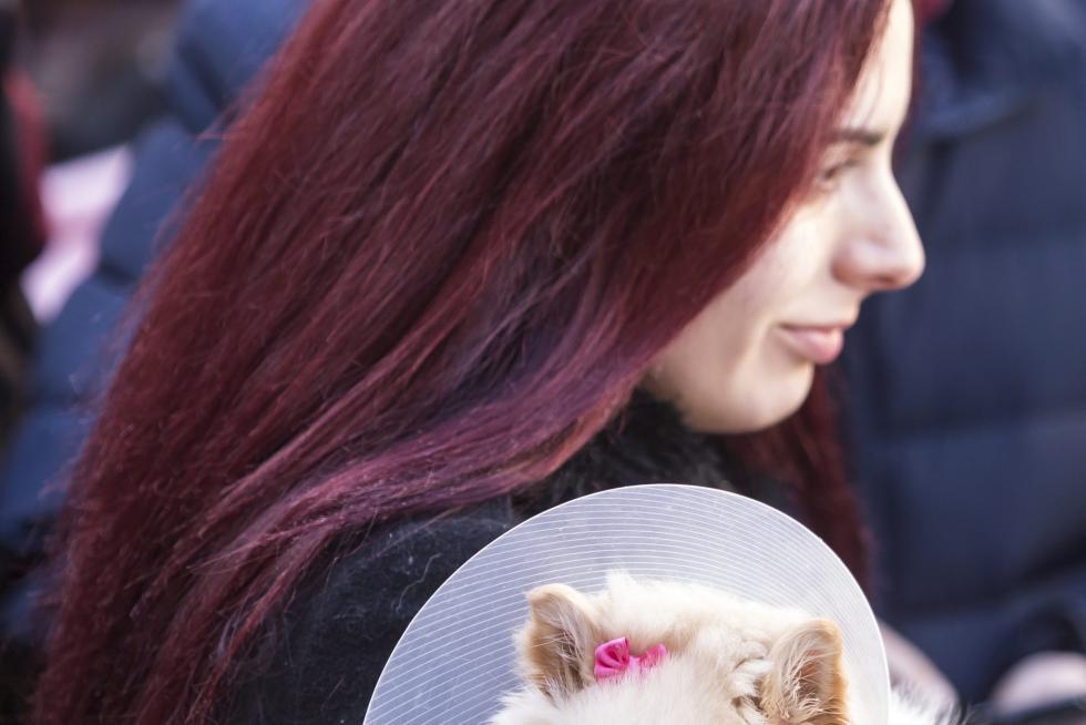 Bendición de Animales en San Pablo por San Antón