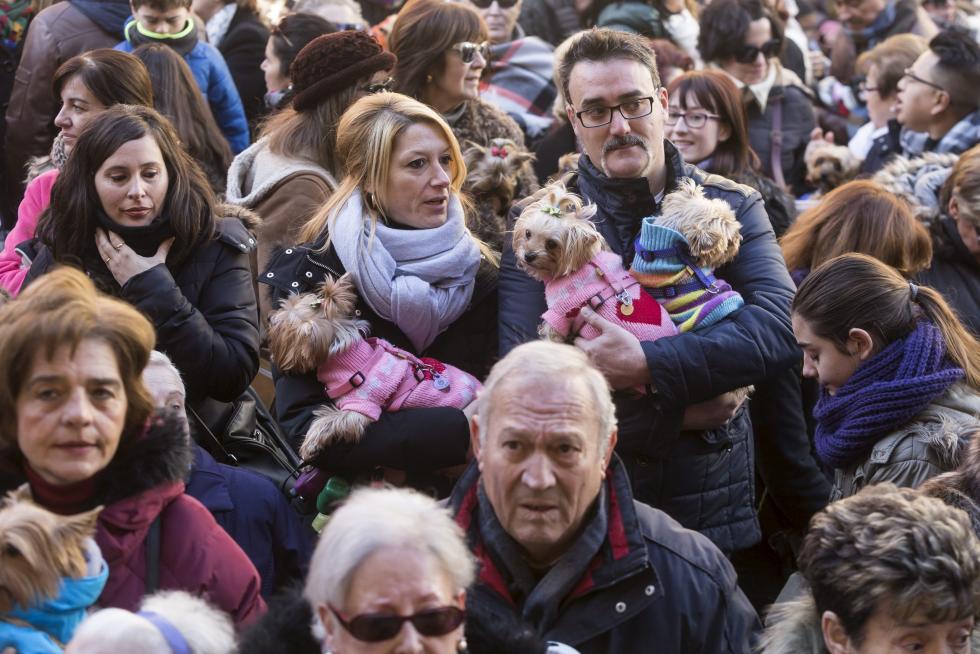 Bendición de Animales en San Pablo por San Antón