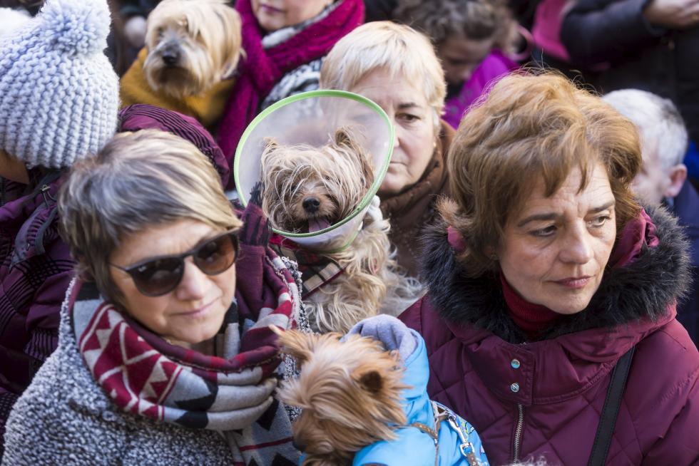 Bendición de Animales en San Pablo por San Antón