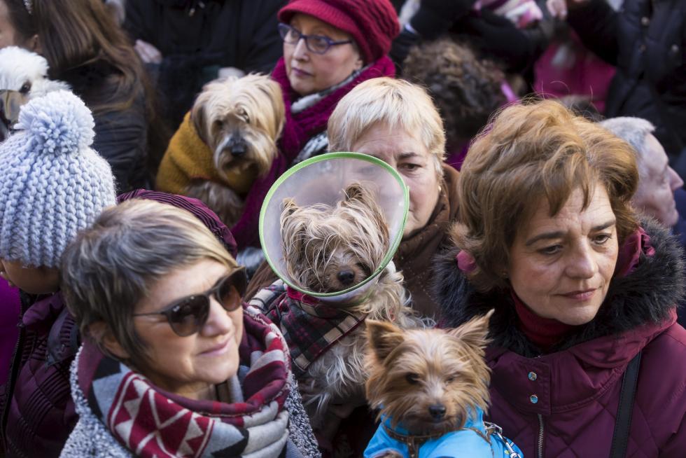 Bendición de Animales en San Pablo por San Antón