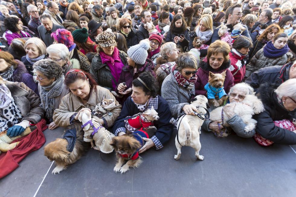 Bendición de Animales en San Pablo por San Antón