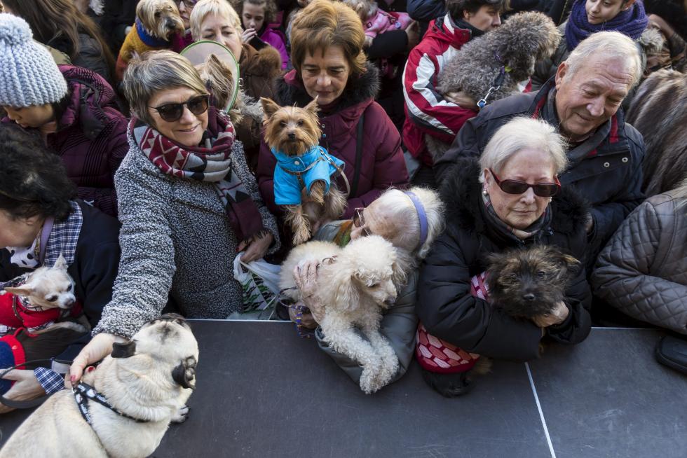 Bendición de Animales en San Pablo por San Antón