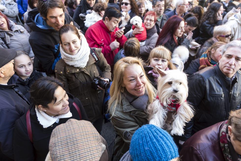 Bendición de Animales en San Pablo por San Antón