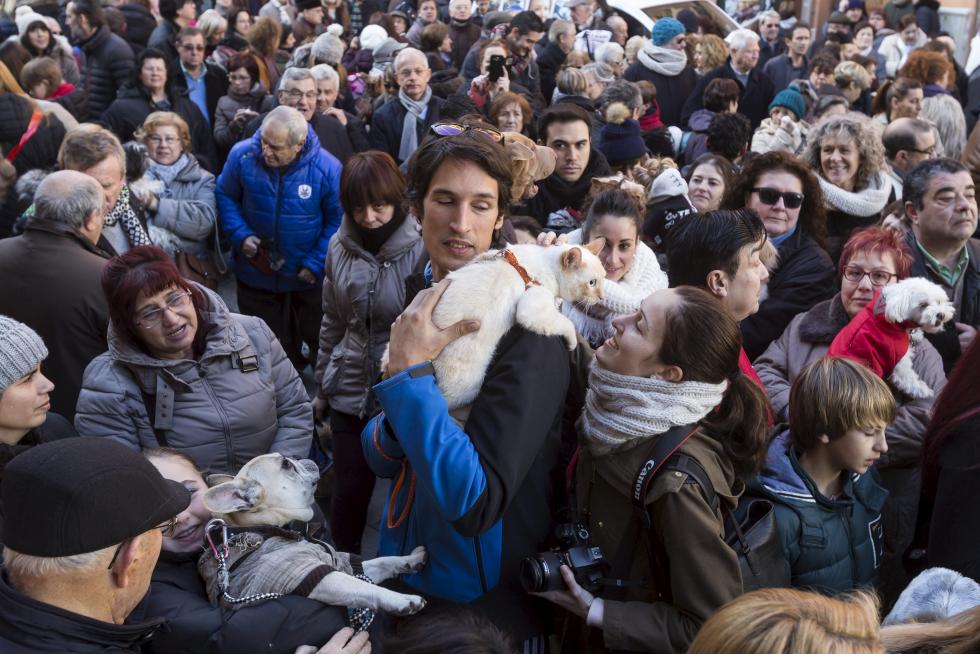 Bendición de Animales en San Pablo por San Antón