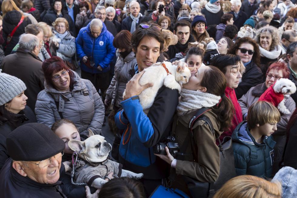 Bendición de Animales en San Pablo por San Antón
