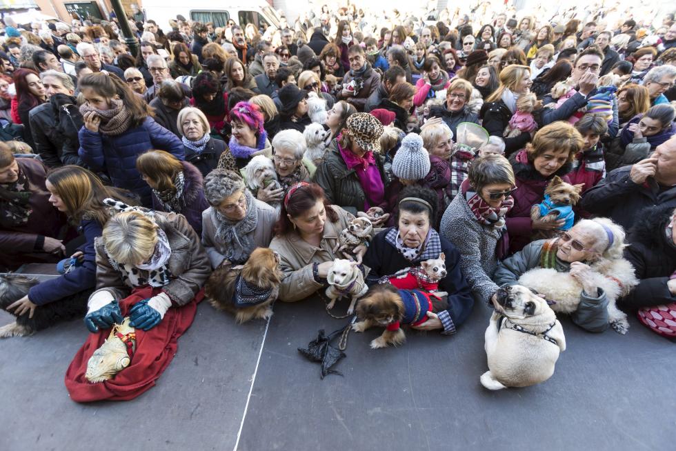 Bendición de Animales en San Pablo por San Antón