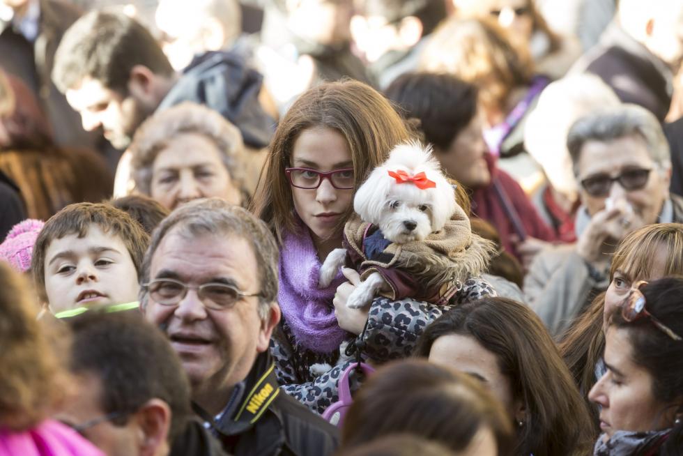 Bendición de Animales en San Pablo por San Antón