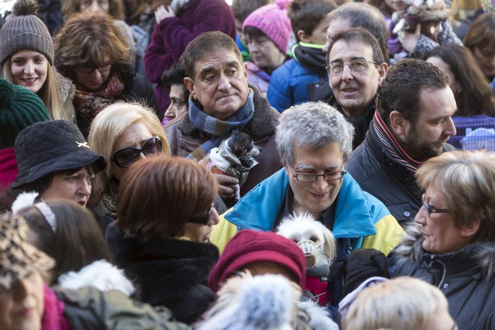 Bendición de Animales en San Pablo por San Antón
