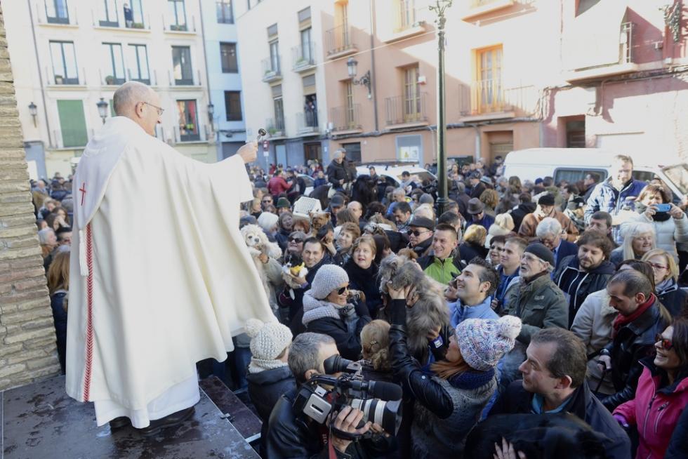 Bendición de Animales en San Pablo por San Antón